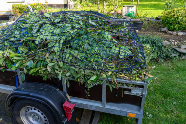 Best Estate Cleanout  in Biscayne Park, FL